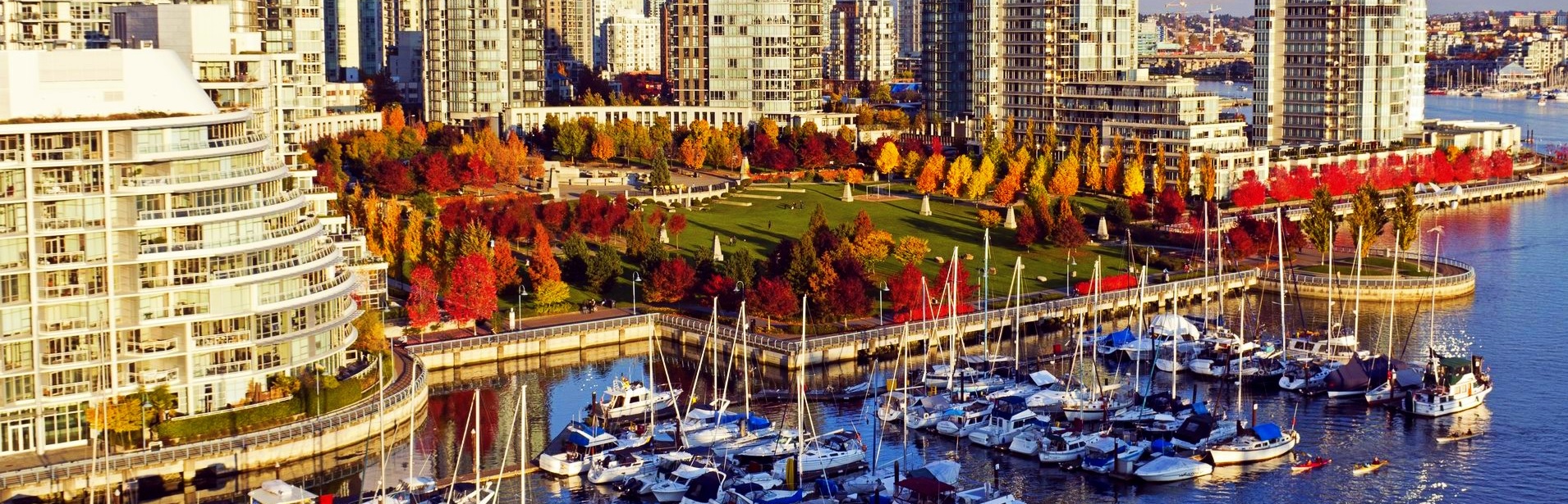 Football Player Celebration