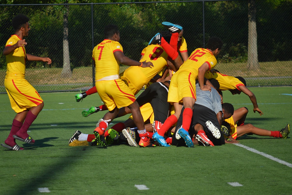The 2014 Diaspora World Cup 