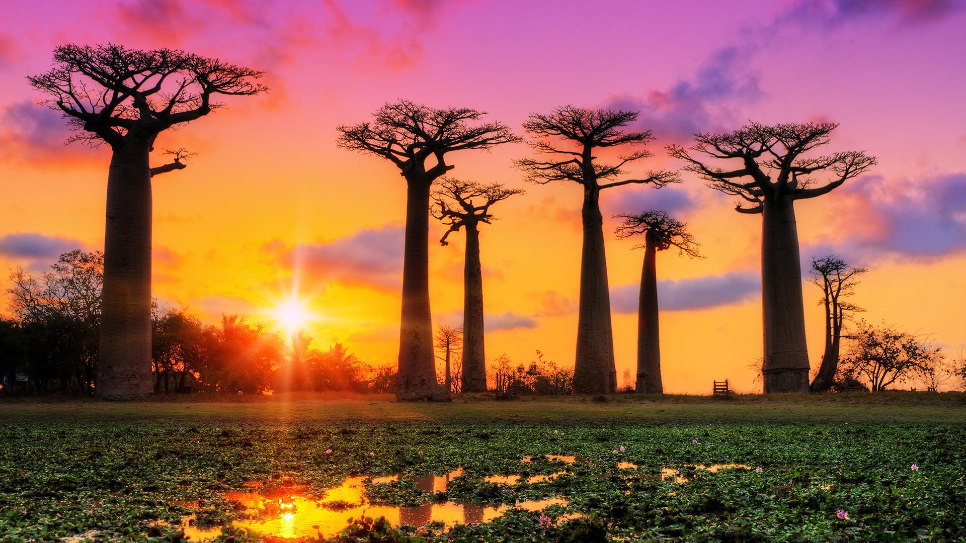 Madagascar country image