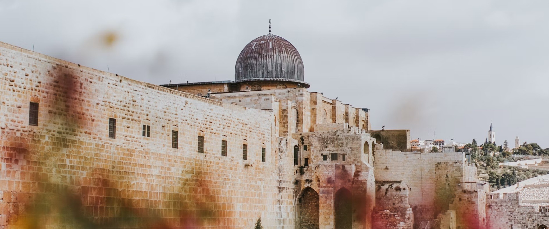 Palestine country image
