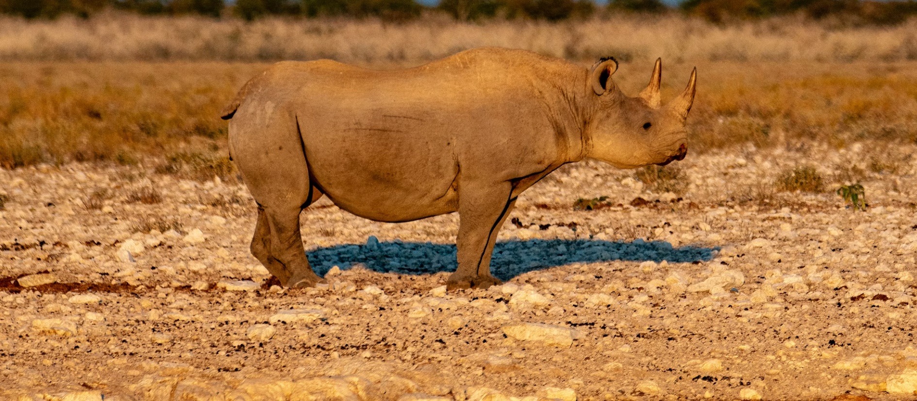 Namibia country image