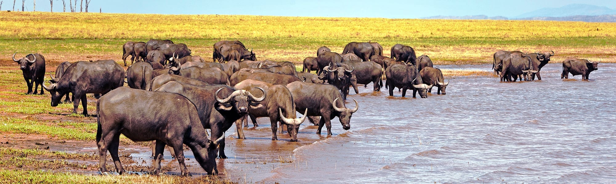 Zimbabwe country image