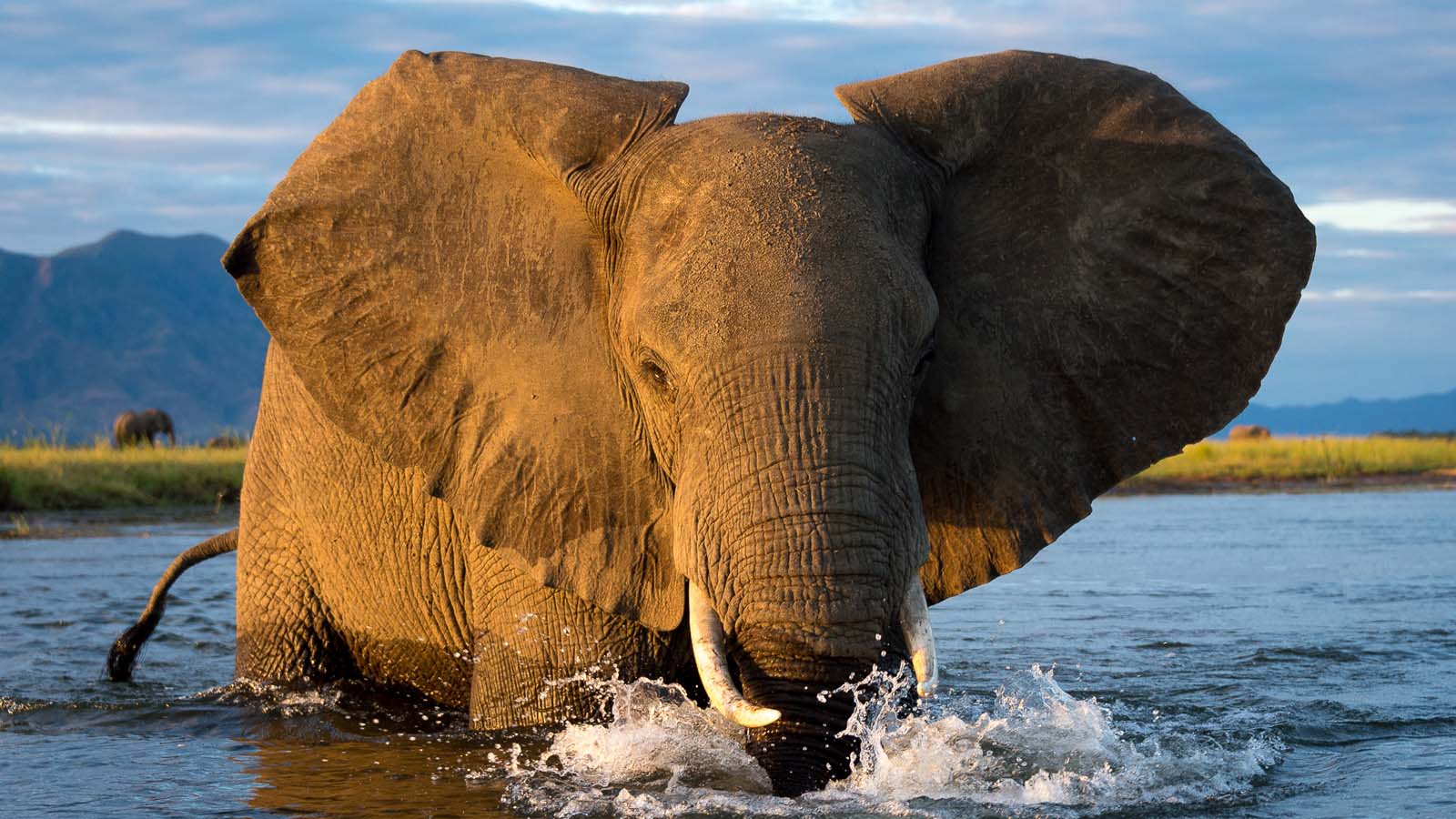 Zimbabwe country image
