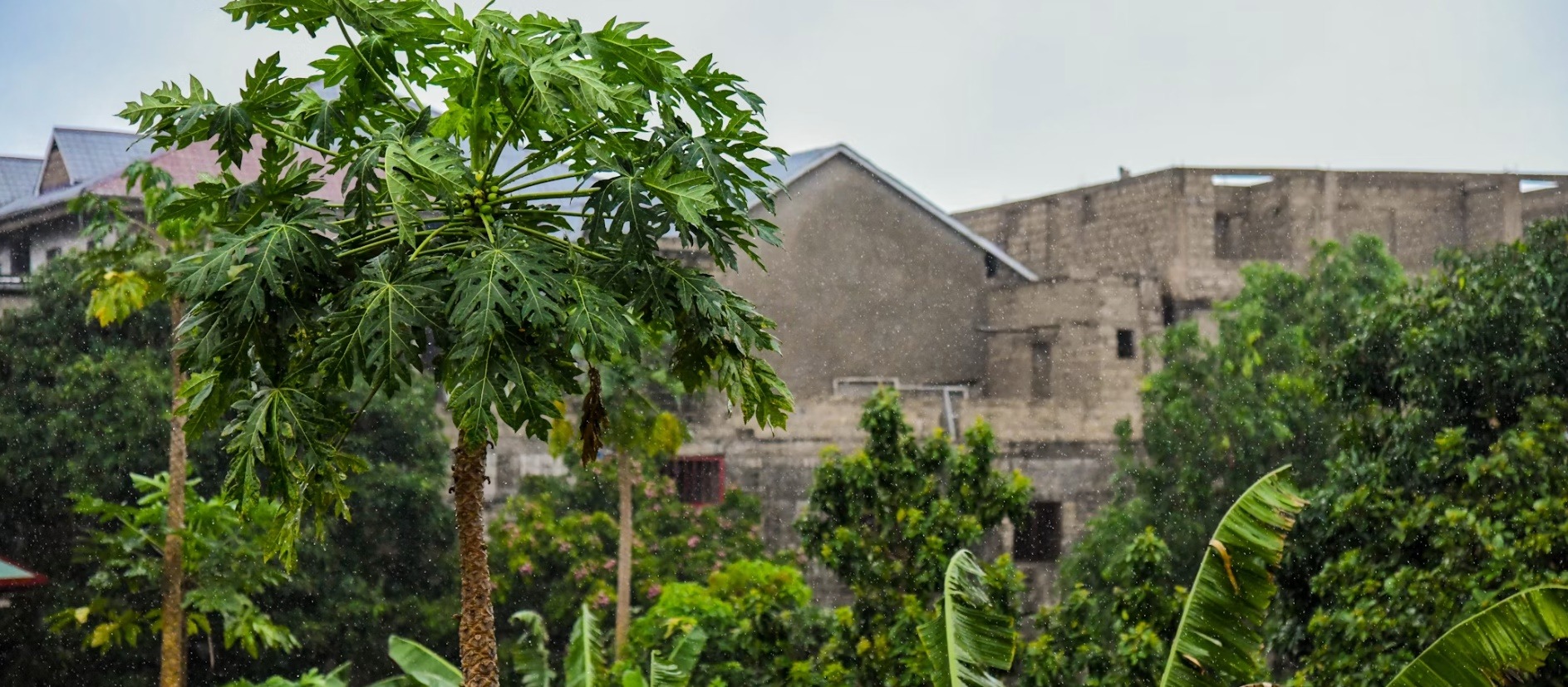 Congo country image