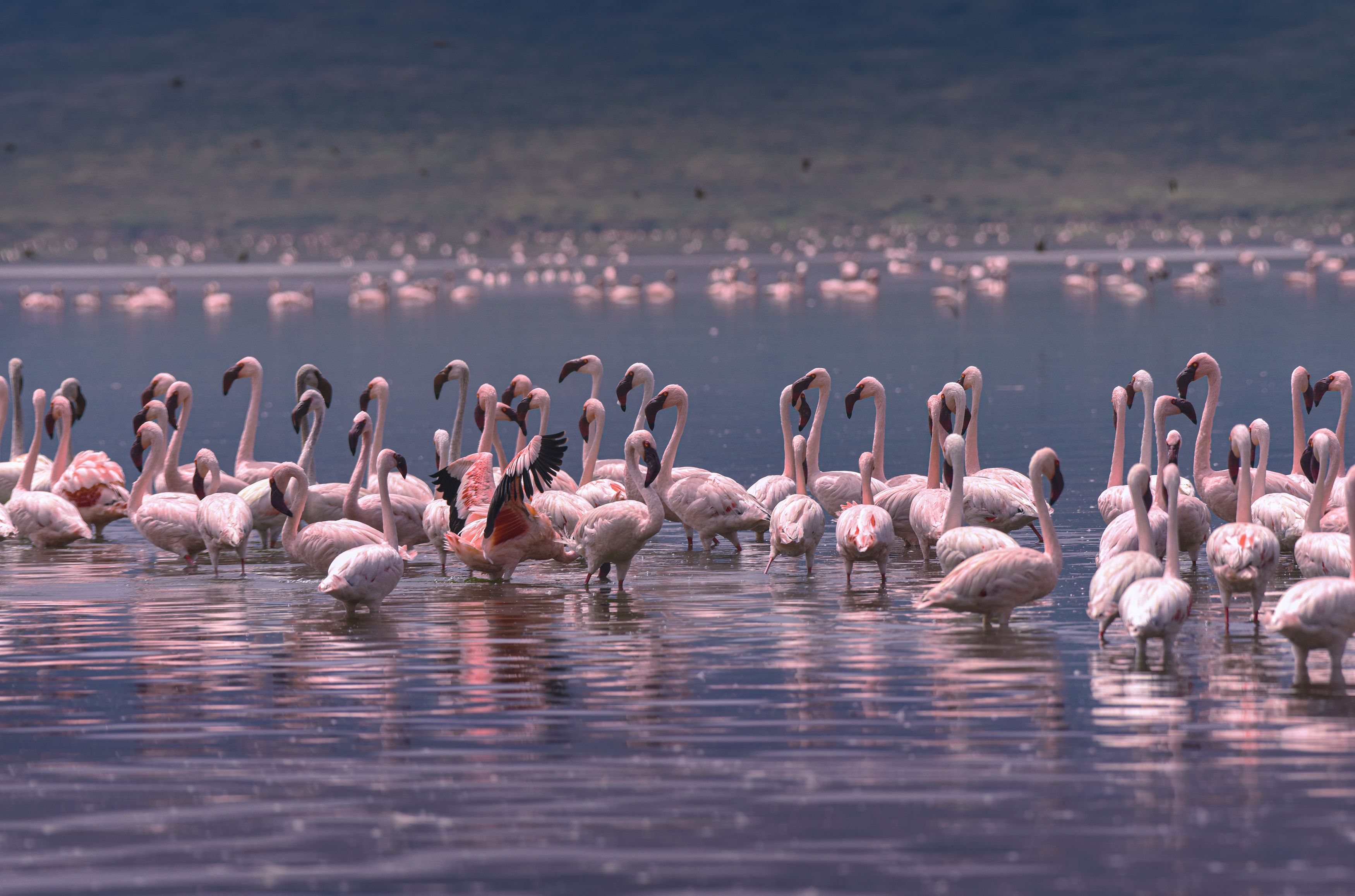 Tanzania country image