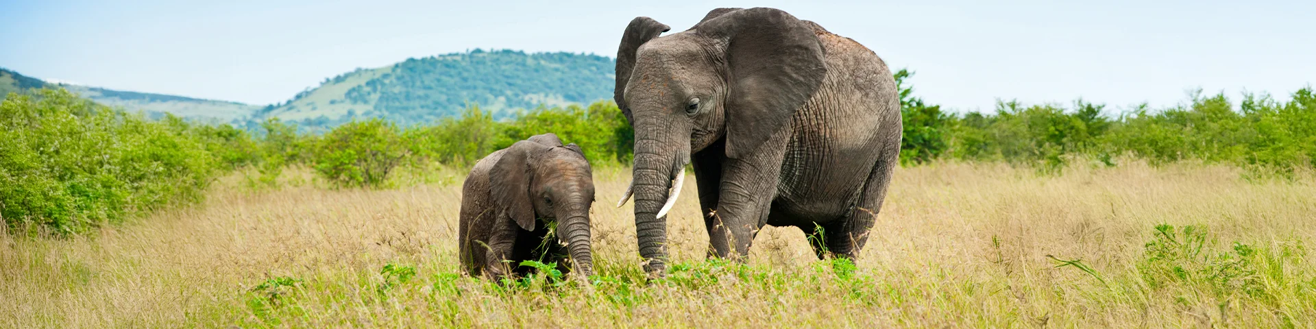 Tanzania country image