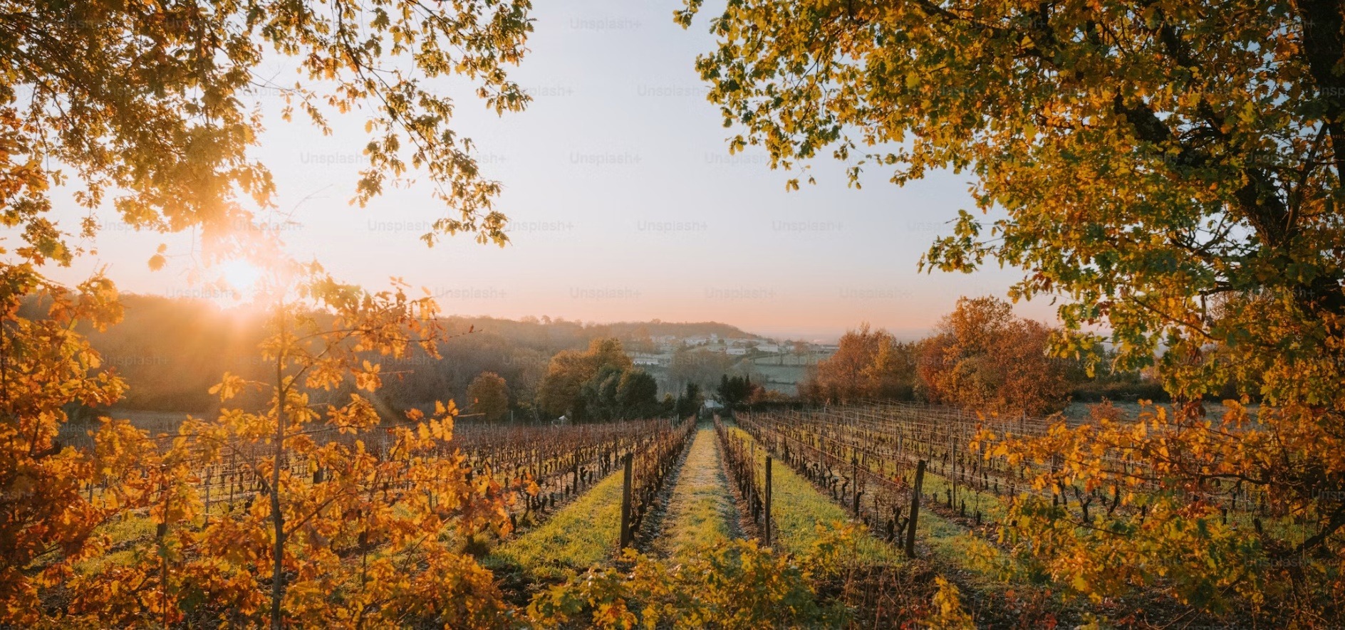 France country image