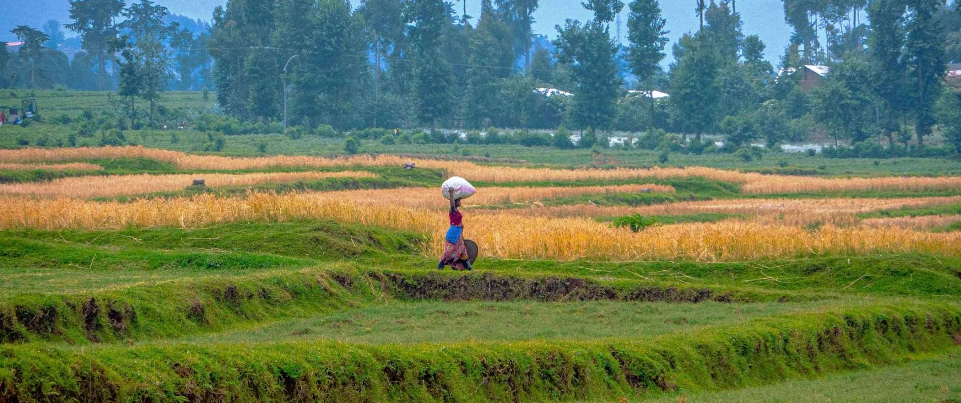 Rwanda country image