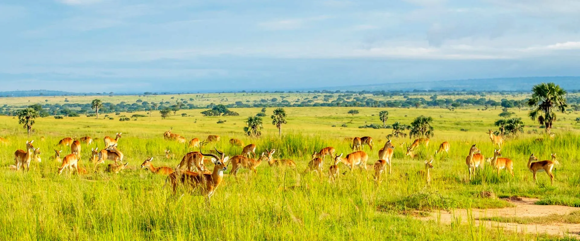 Uganda country image