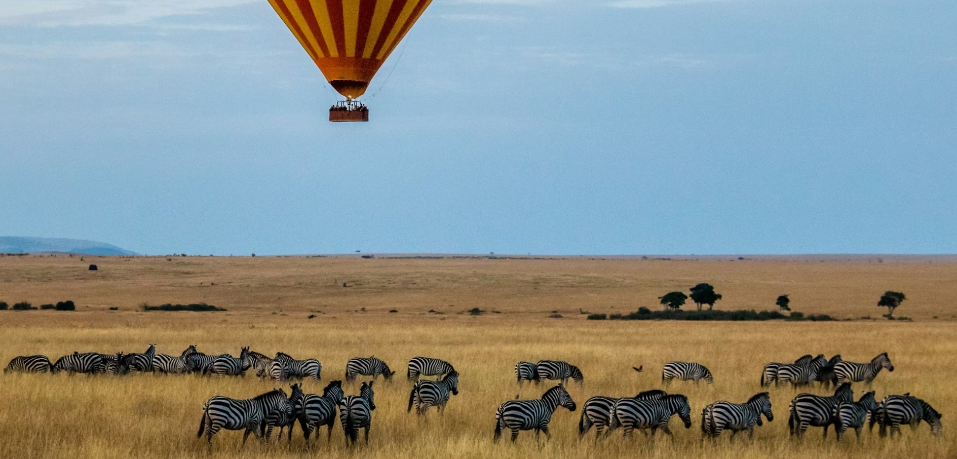 African U. country image