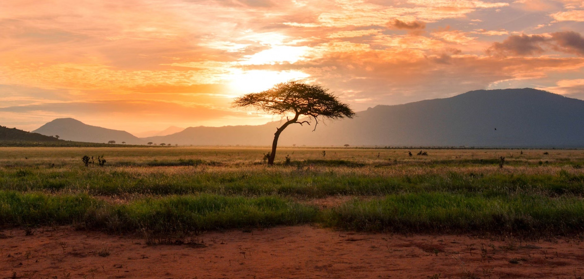 African U. country image