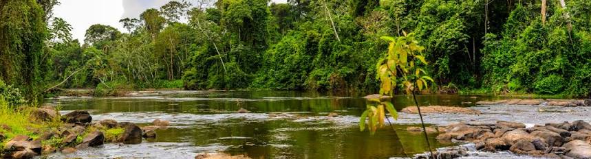Suriname country image