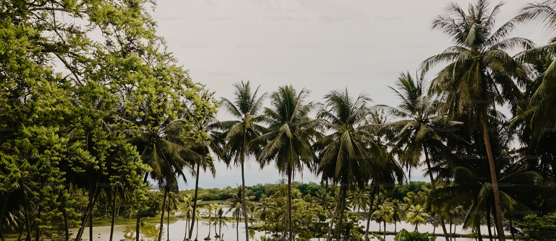 Suriname country image