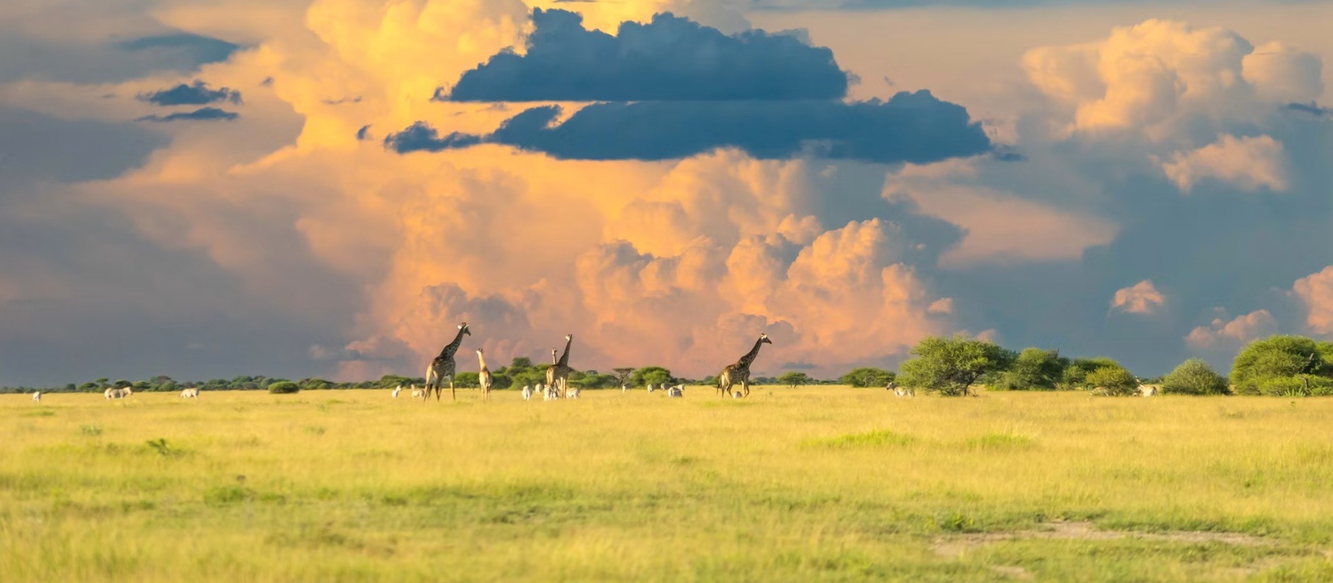 Botswana country image