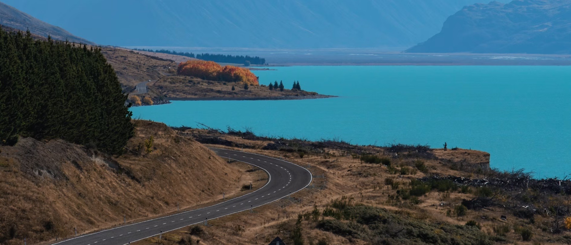 N. Zealand country image