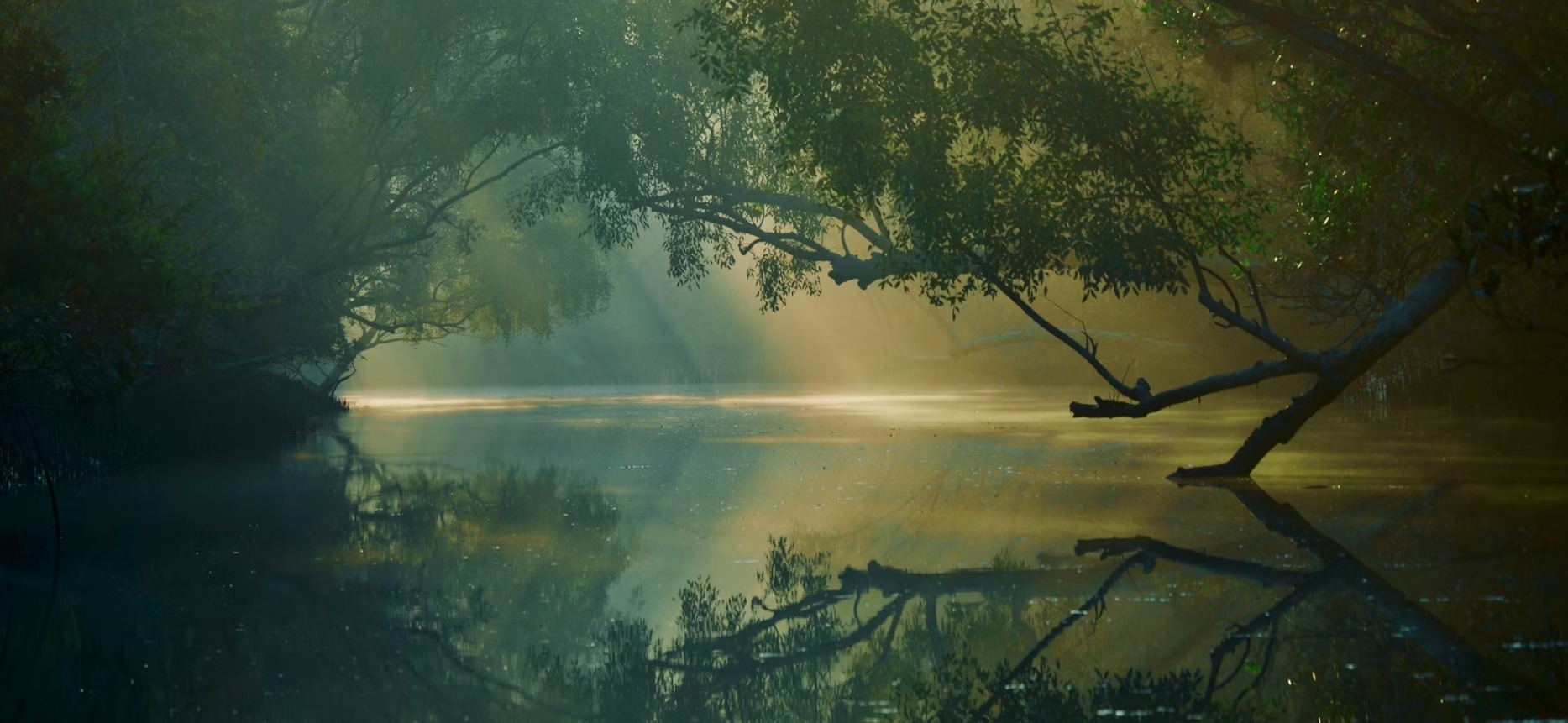 Bangladesh country image