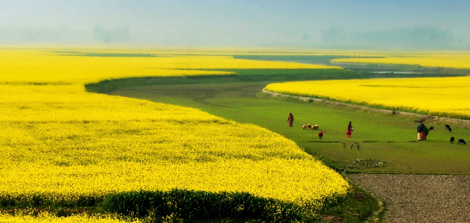 Bangladesh country image