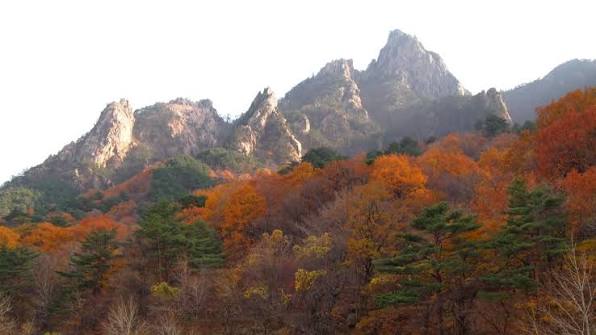 South K. country image