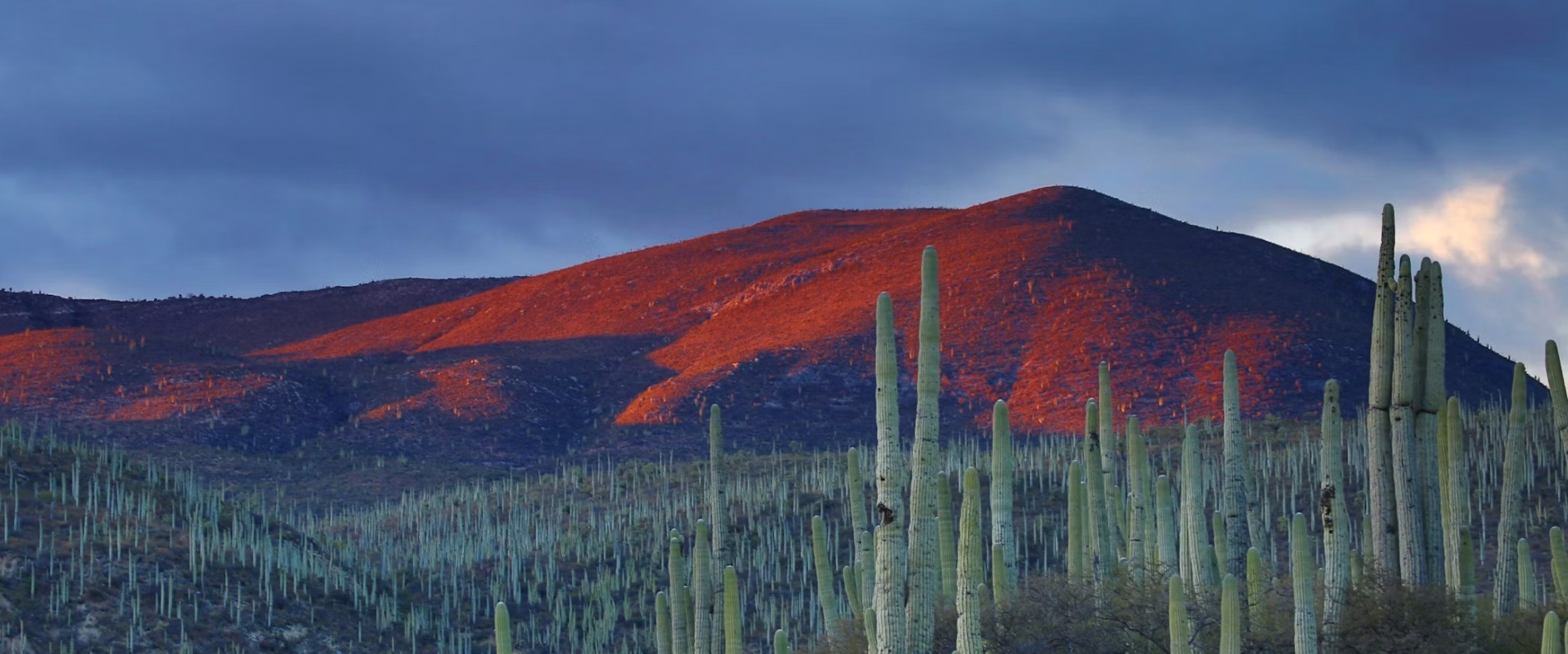 Mexico country image